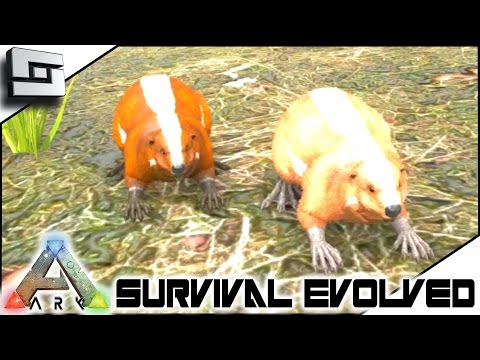 ARK: Survival Evolved - BREEDING BEAVER BABIES! S3E72 ( Gameplay )