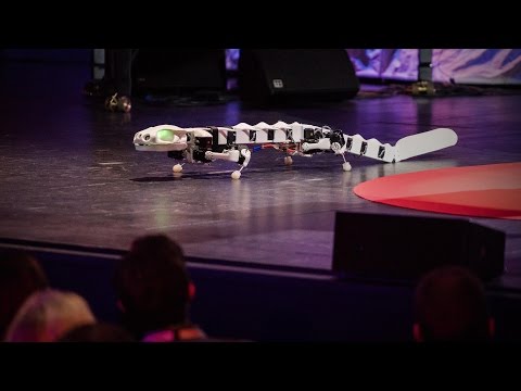 A robot that runs and swims like a salamander | Auke Ijspeert