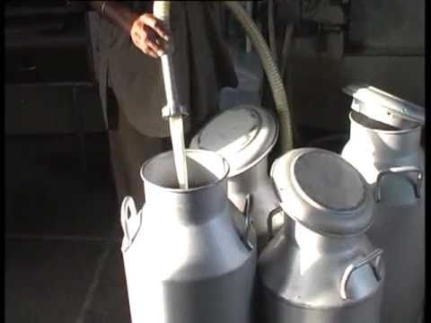 Best Practices in Punjab - Dairy Farming in Village Bahadurpur (Ropar)