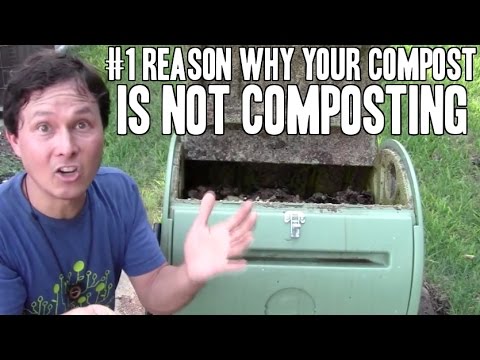 #1 Reason Why Your Compost is Not Composting