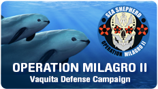 Operation Milagro II