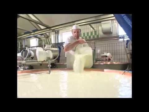 Come si fa il formaggio Asiago? Tutte le risposte in questo video