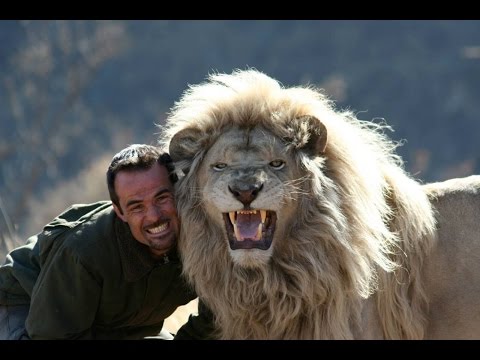 The LION WHISPERER Kevin Richardson   Living with the LIONS   Full Length Documentary