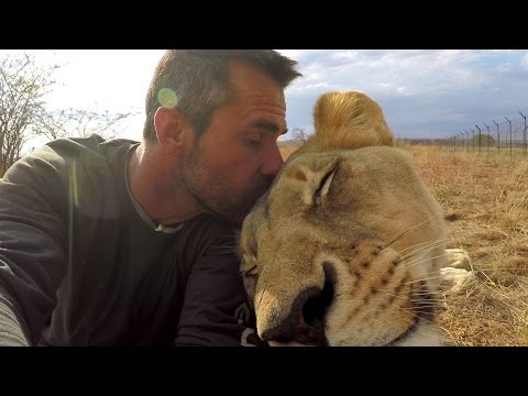 American Tourist Killed by Lion | Kevin Richardson - The Lion Whisperer responds