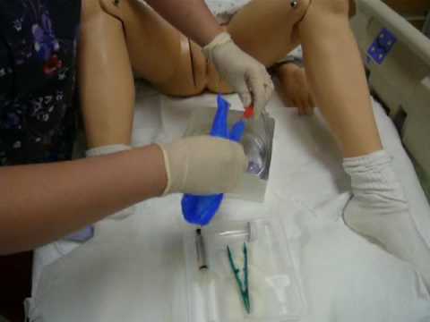 Female Catheter Insertion