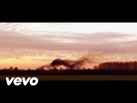 Marco Borsato - Mooi (official video)