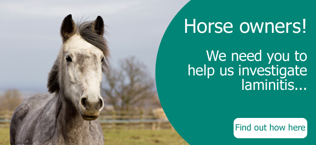 Horse Owners! Help Us Investigate Sickness