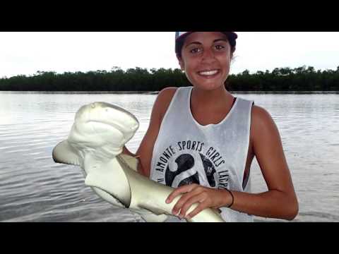 Marine Biology Internship -- Coral Reef and Shark Research -- College of Charleston