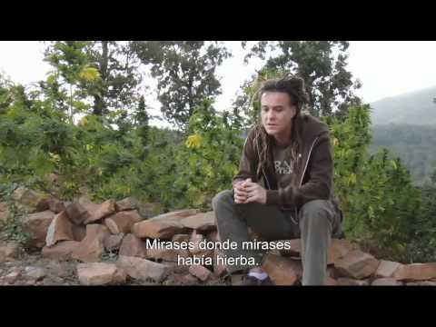 Strain Hunters Morocco Spanish Subtitles