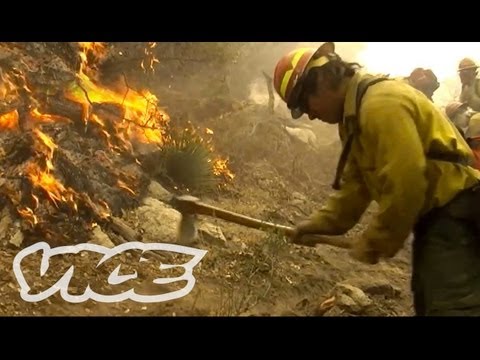 How to Fight Forest Fires