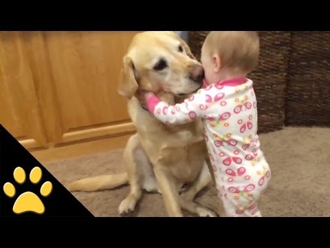 Cute Dogs And Adorable Babies: Compilation