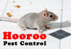 Hooroo Pest Control