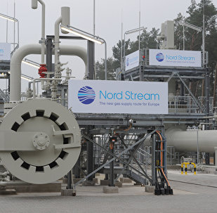 Nord Stream gas pipeline launched in Germany