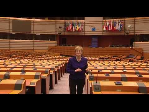 How the European Parliament works