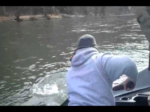 Musky Fishing Allegheny River