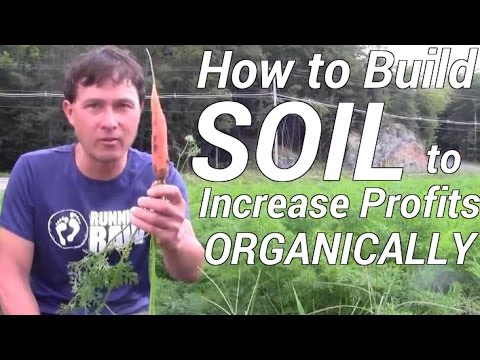 How to Best Build Soil to Increase Profit When Organic Farming