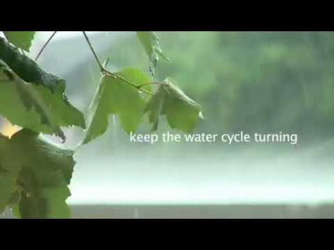 The Ramsar video: "Wetlands: keeping our planet alive and well"