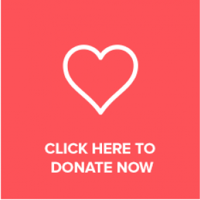 supportdonatenow.png