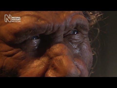 Meet the first Britons | Natural History Museum