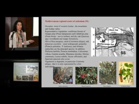 Quantitative Analysis of the Flora of Jordan and its Conservation Status