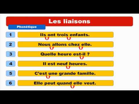 [French for beginners] 145 minutes to learn French grammar