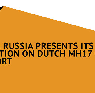 Russia Presents Its Position on Dutch MH17 Crash Report