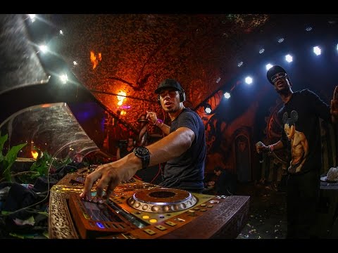 TomorrowWorld 2015 | Afrojack