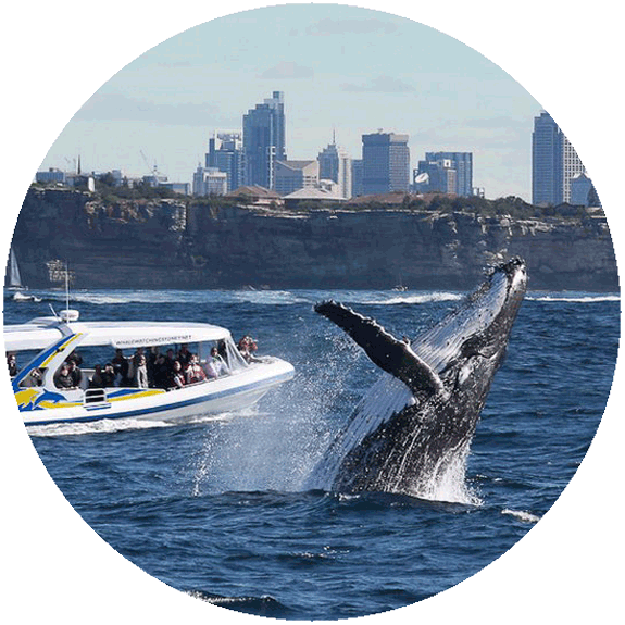 Salish Sea Marine Sanctuary