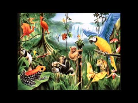 Best Relaxing Jungle Sounds Tropical Amazon Rainforest With Distant Thunder  3 Hours Long ! Chillout