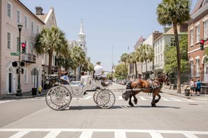 Enjoy Charleston’s history at a trot from the back of a horse-drawn carriage 