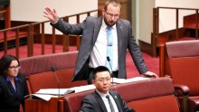 Ricky Muir gestures with one arm as he stands and speaks in the Senate, with Jacqui Lambie and Dio Wang, seated and listening.