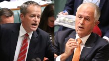 Bill Shorten and Malcolm Turnbull