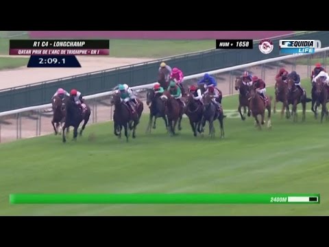 Golden Horn - Qatar Prix de l'Arc de Triomphe - Longchamp - 4/10/15