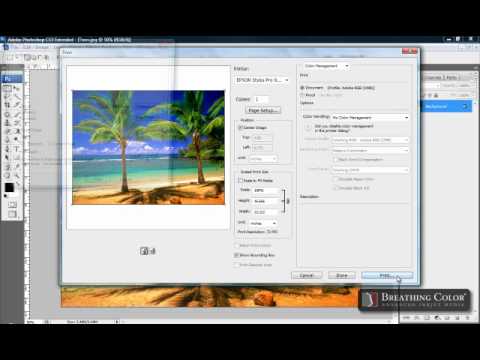 Epson Print Settings on Breathing Color Media (No ICC Profile)