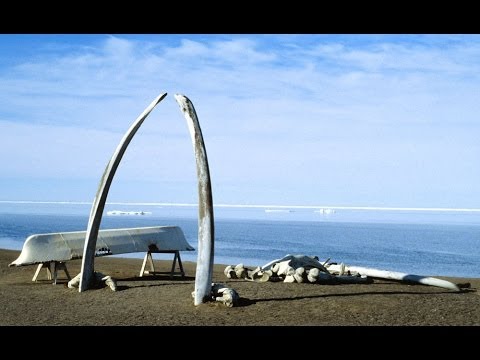 My Day in Barrow, Alaska