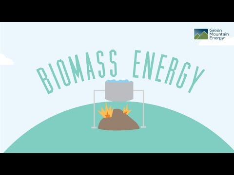 Renewable Energy 101: Biomass Electricity