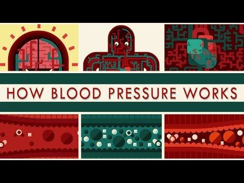 How blood pressure works - Wilfred Manzano