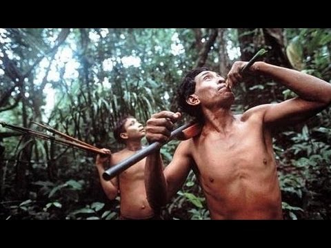 Nomads of the Rainforest PBS NOVA 1984