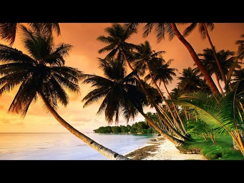 1 Hour of Tropical, Caribbean, and Hawaiian Music