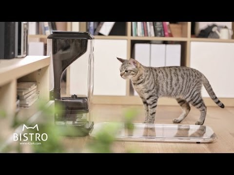 Bistro: The Smartest Cat Feeder. Ever.