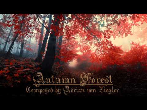 Relaxing Celtic Music - Autumn Forest