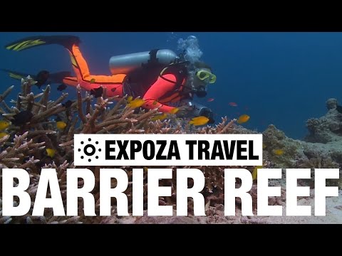 The Great Barrier Reef (Australia) Vacation Travel Wild Video Guide