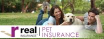 Real Insurance - Pet Insurance