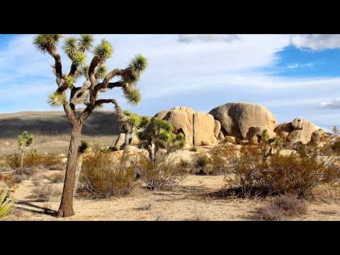 Sounds of the Mojave Desert - Wind Through Tree