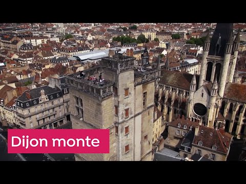 Dijon vue du ciel