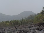 Mountains, rocks and varieties of plants comprise of the peninsula landscape coastline-Sierra Leone.