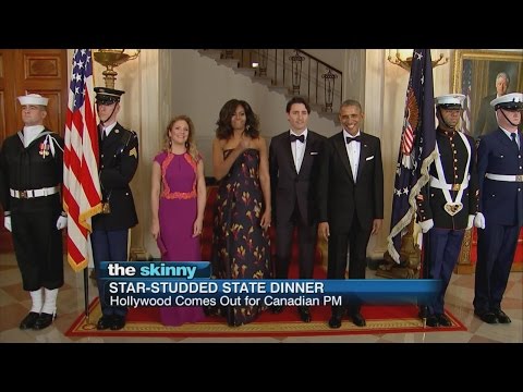 Star Guests at the U.S State Dinner | ABC News