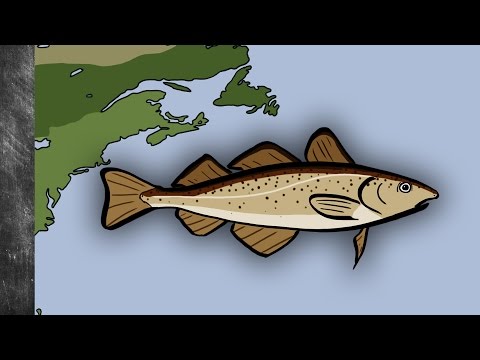 What happened to the Grand Banks cod?