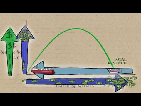 Fisheries Economics & Policy: Maximum Economic Yield