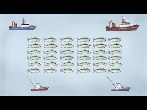 Fisheries Economics & Policy: Intro to Fisheries Management